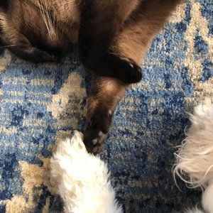 Meet your Posher, Nancy